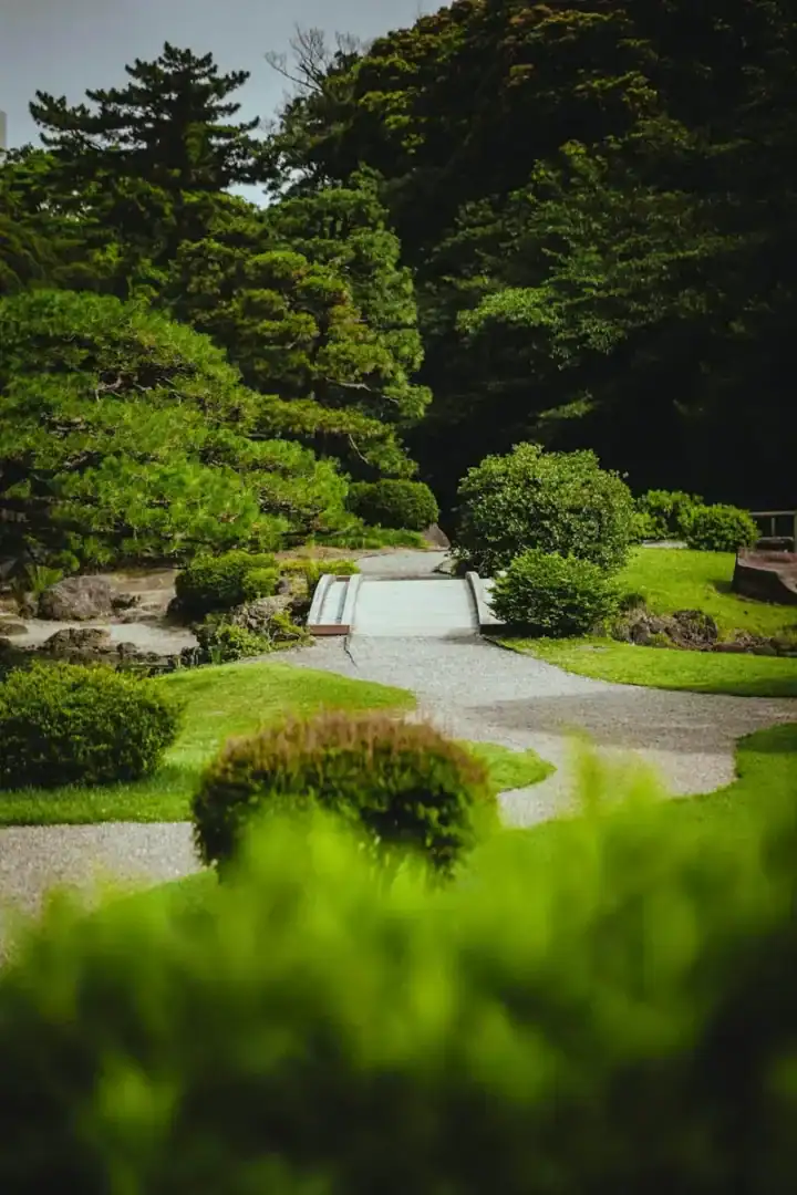landscape gardening tree cutter gardener