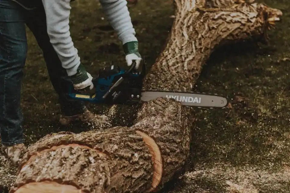 Tree Surgeons