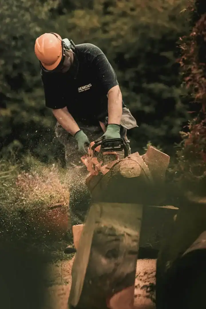 log cutting tree surgeon chainsaw