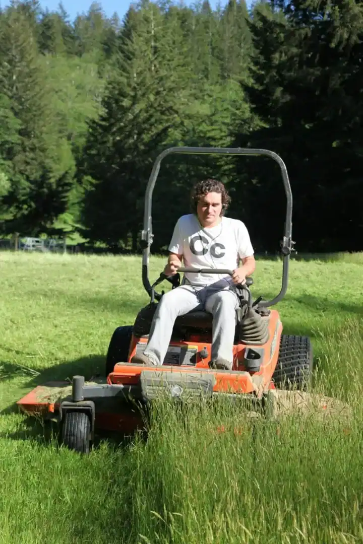 ride on mower gardening grass trimming landscape